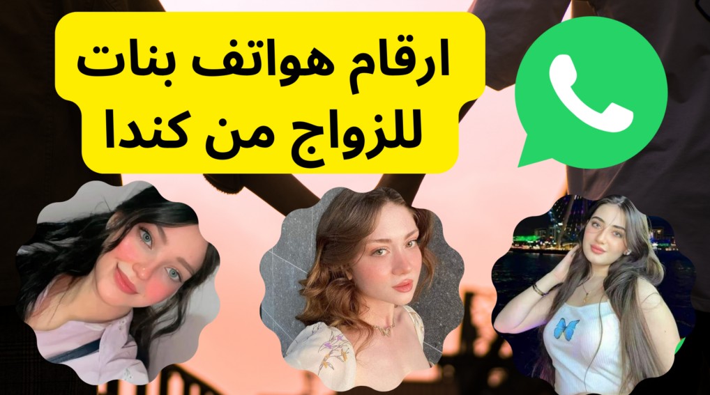 spot_img