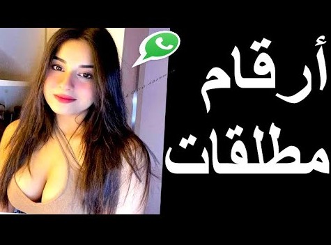 spot_img